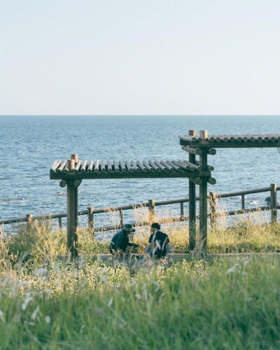 济州岛的微风