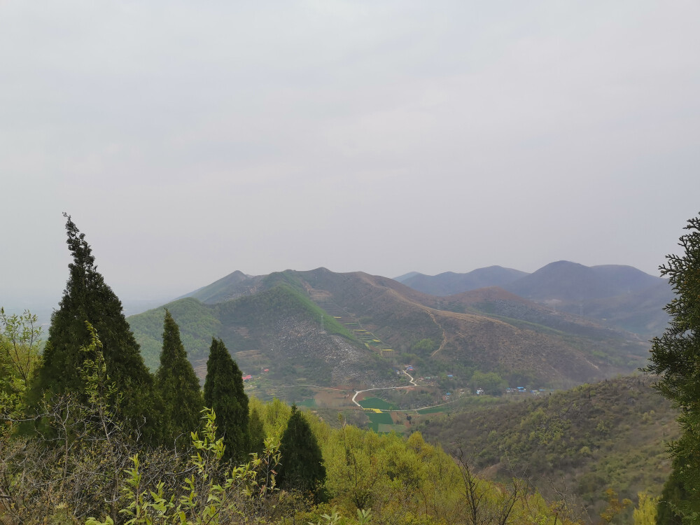 3.22爬山沿途風景。