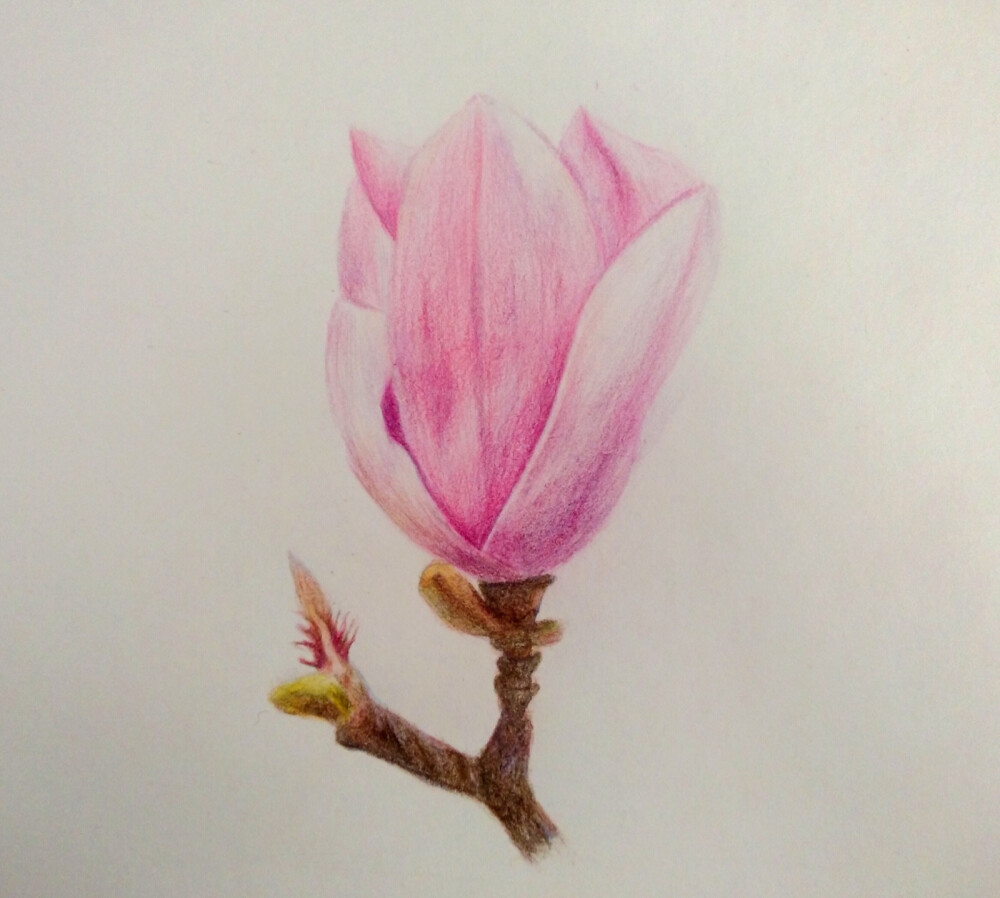 原创插画