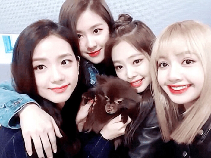 ʙʟᴀᴄᴋᴘɪɴᴋ ɪɴ ʏᴏᴜʀ ᴀʀᴇᴀ♡.
❤BLACKPINK❤
❤生而优越❤
❤天生焦点❤
❤炽热花火❤
❤灿若星辰❤
❤绝伦美貌❤
❤心动妖精❤
❤生而耀眼❤