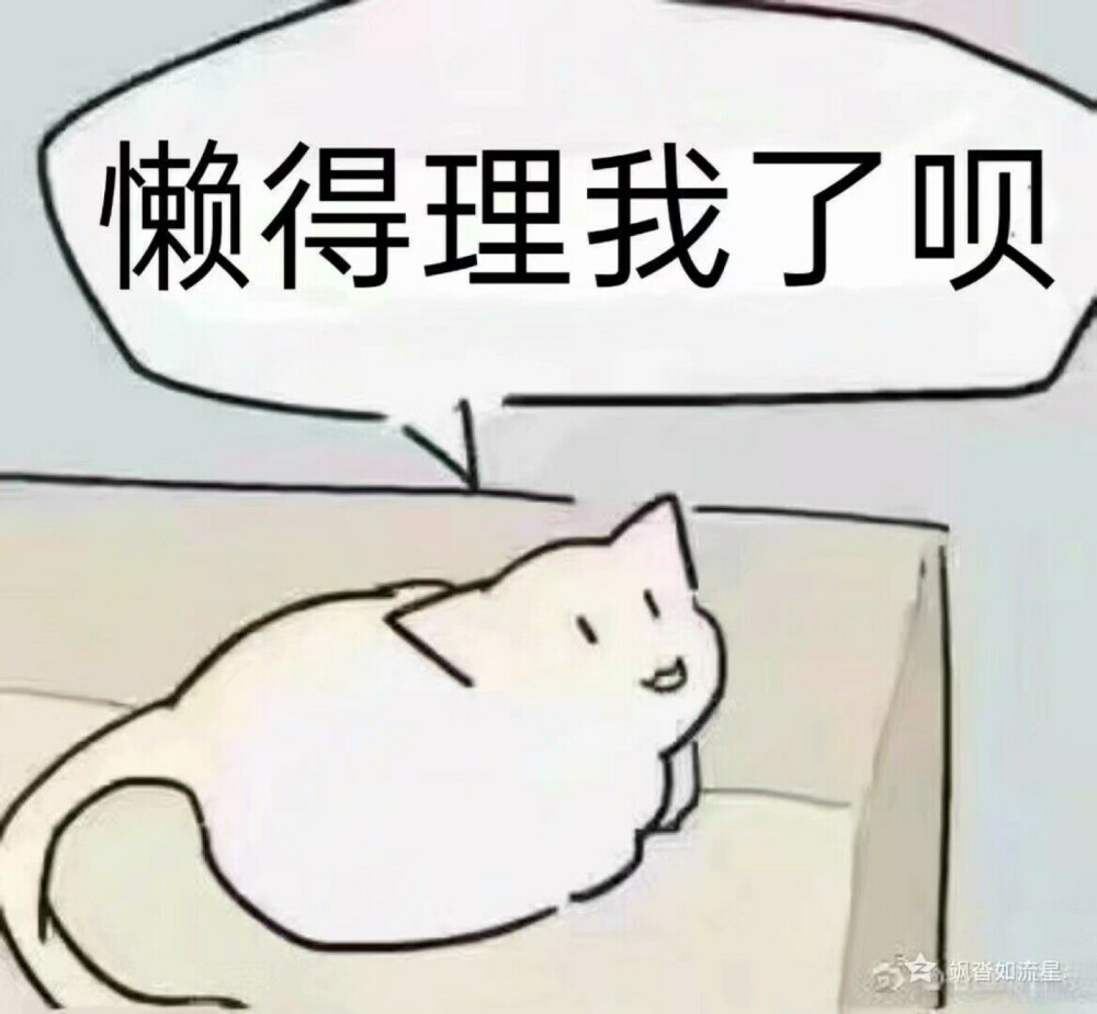 小猫猫