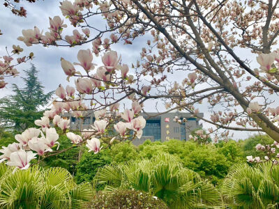 四川大学江安校区
自摄