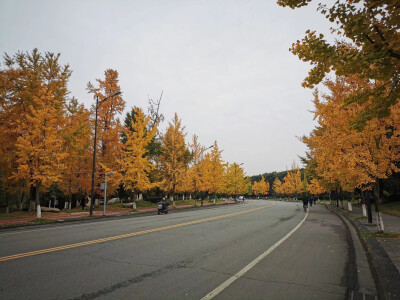 四川大学江安校区