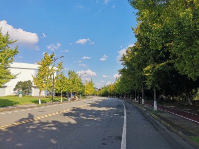 四川大学江安校区