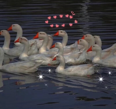 我是你流浪过的一个地方