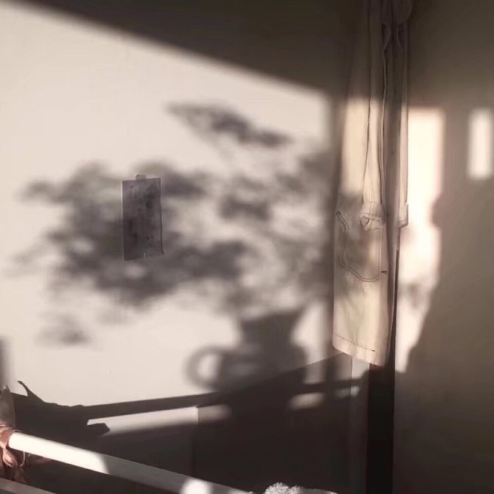 我是你流浪过的一个地方