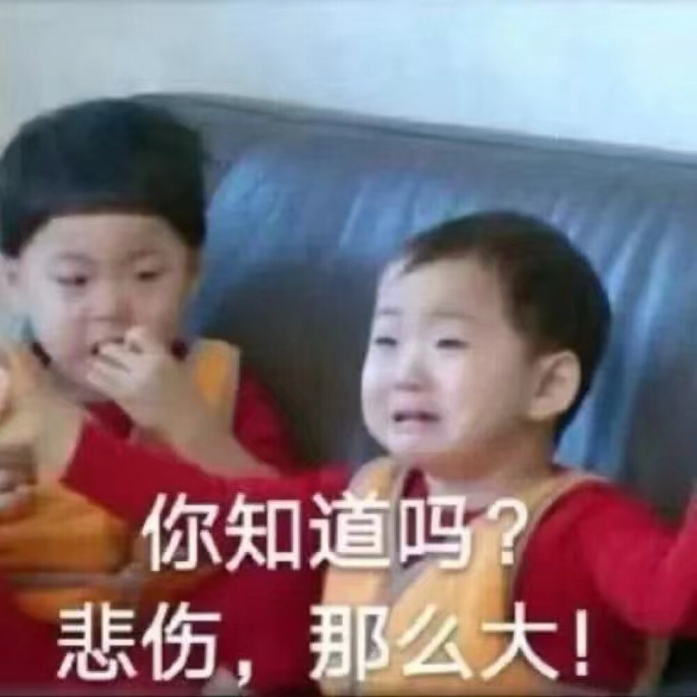 表情包 沙雕表情包 搞笑表情包 热门表情包 