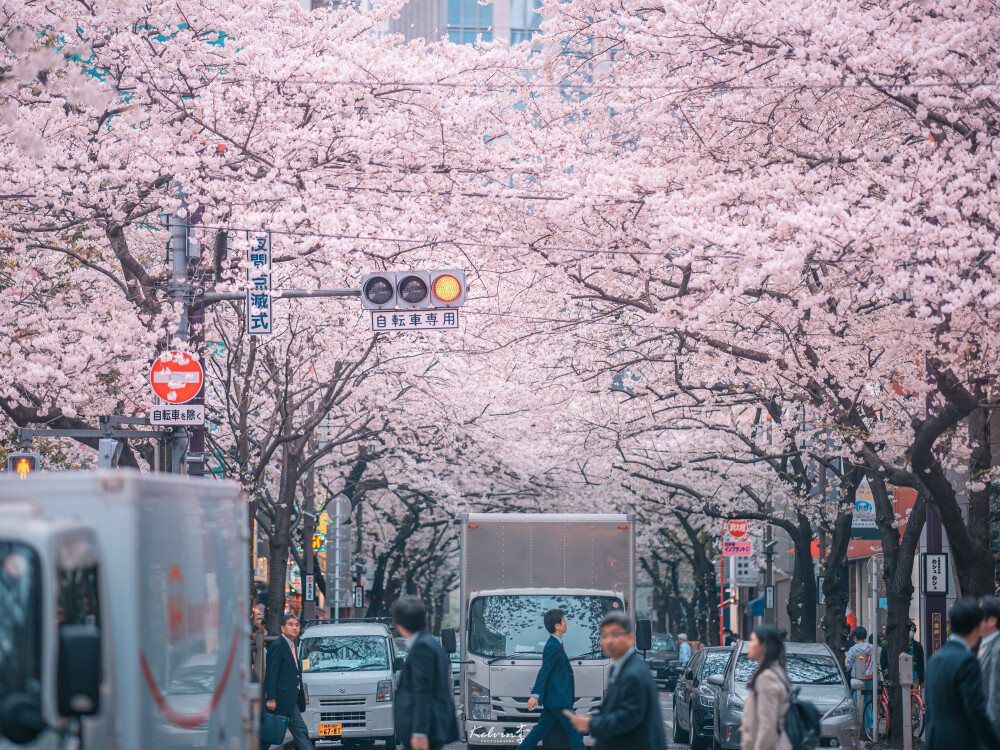 壁纸高清，日本街头