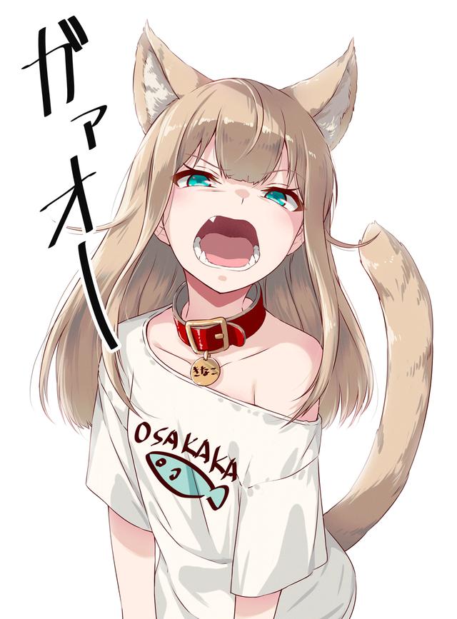 猫耳娘