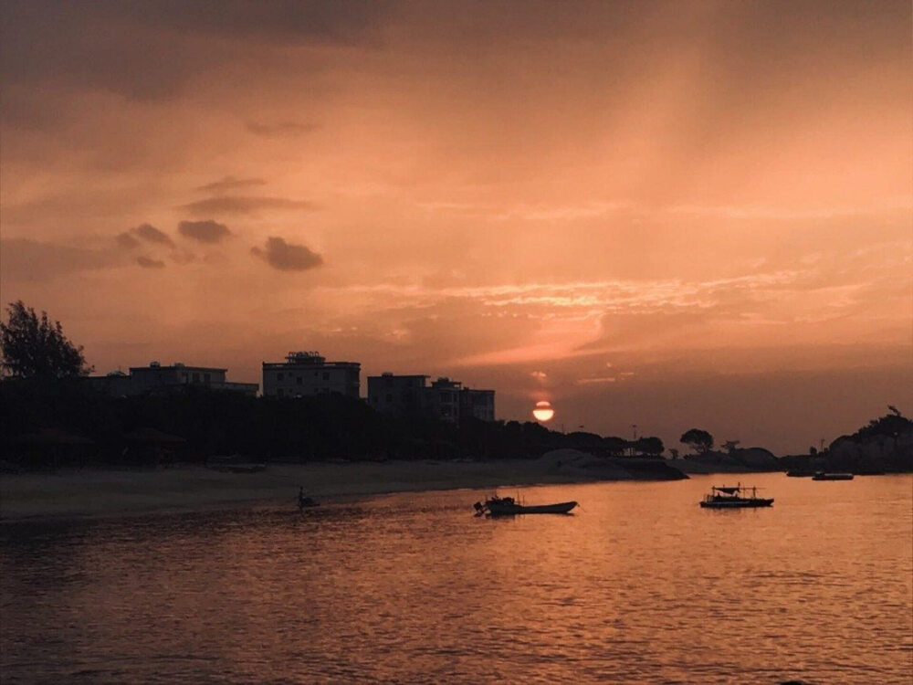 那日晴窗初过雨,当时小院静无声 。