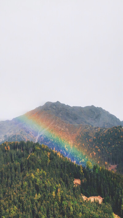 小众手机壁纸分享