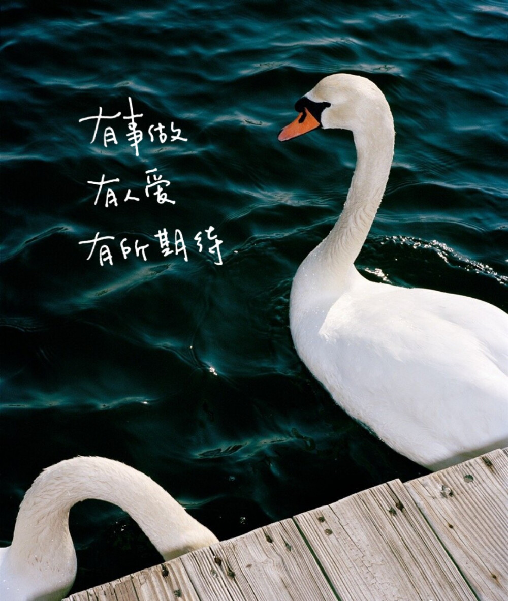 文字 意境