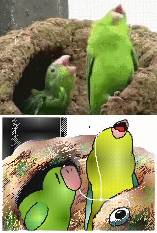 会跳舞的狐狸/kokorokeke