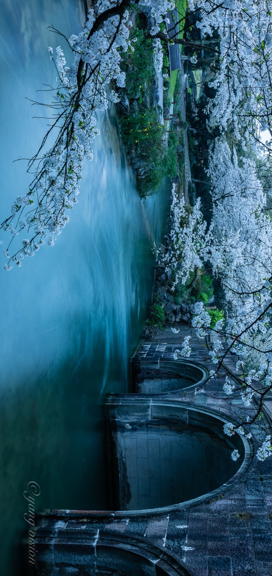 【太子湾，樱花溪水】#花开的季节到了#
杭州，太子湾，山泉流水淙淙，樱花柔美烂漫！ ​
摄影@影像视觉杨
#云赏花##春天摄影大赛# ​