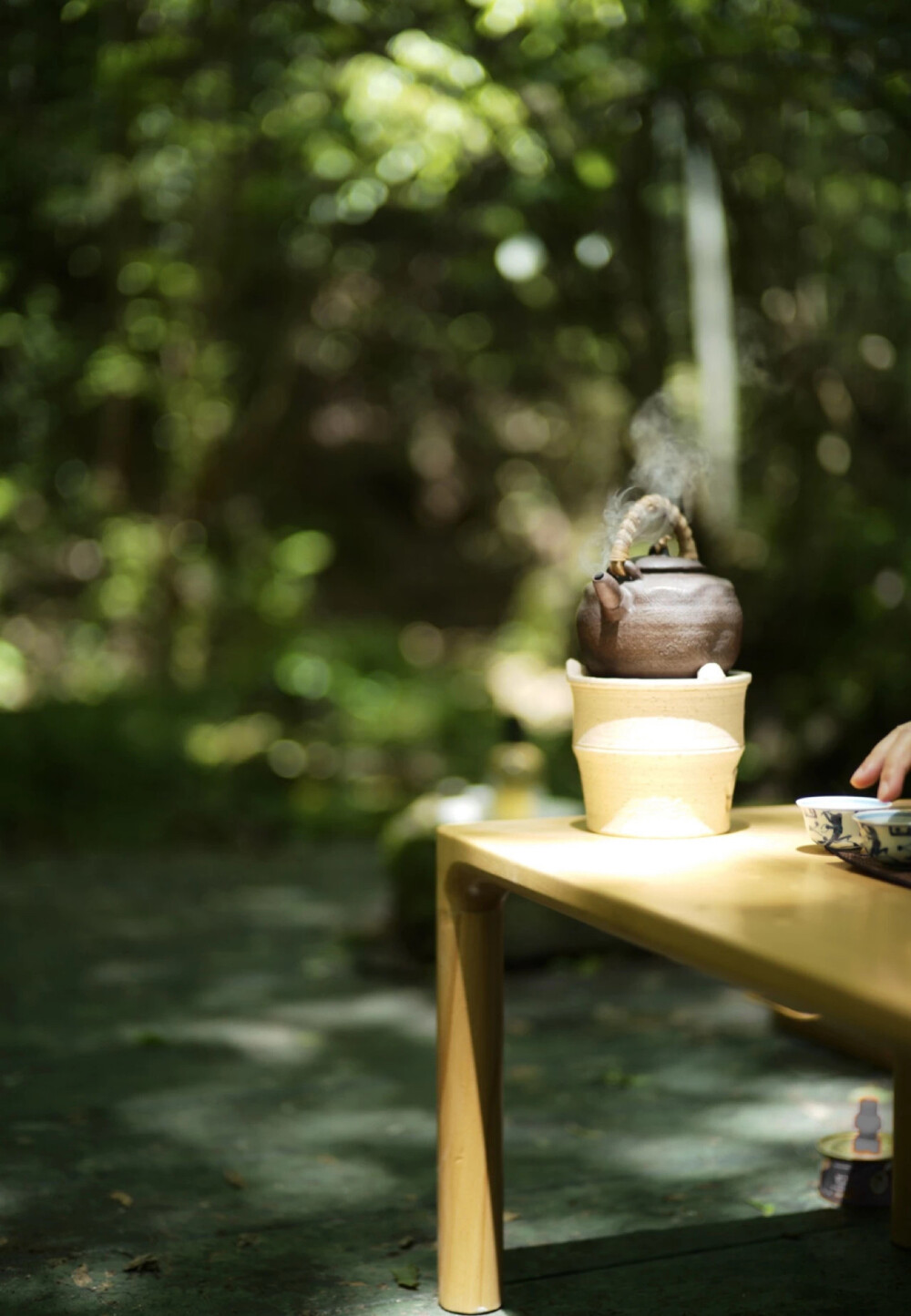 清水烹茶，
棉麻衣着，
虚室禅坐，
四壁留白，
一花一画一柱香，
形影相吊，
孑然一身，
惟茶烟袅袅。
