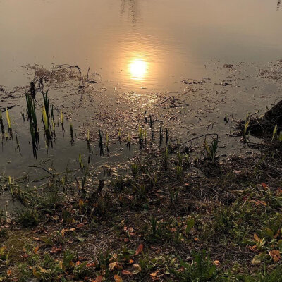 风景静物背景