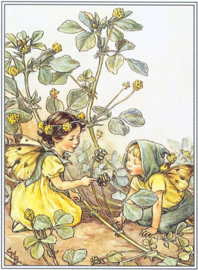 蜚声全球的花仙子插画师：Cicely Mary Barker