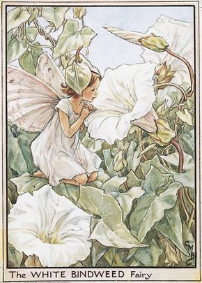 蜚声全球的花仙子插画师：Cicely Mary Barker