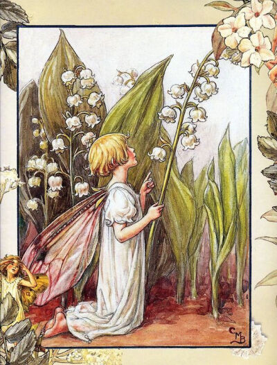 蜚声全球的花仙子插画师：Cicely Mary Barker