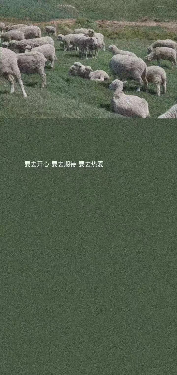 要去开心 要去期待 要去热爱 