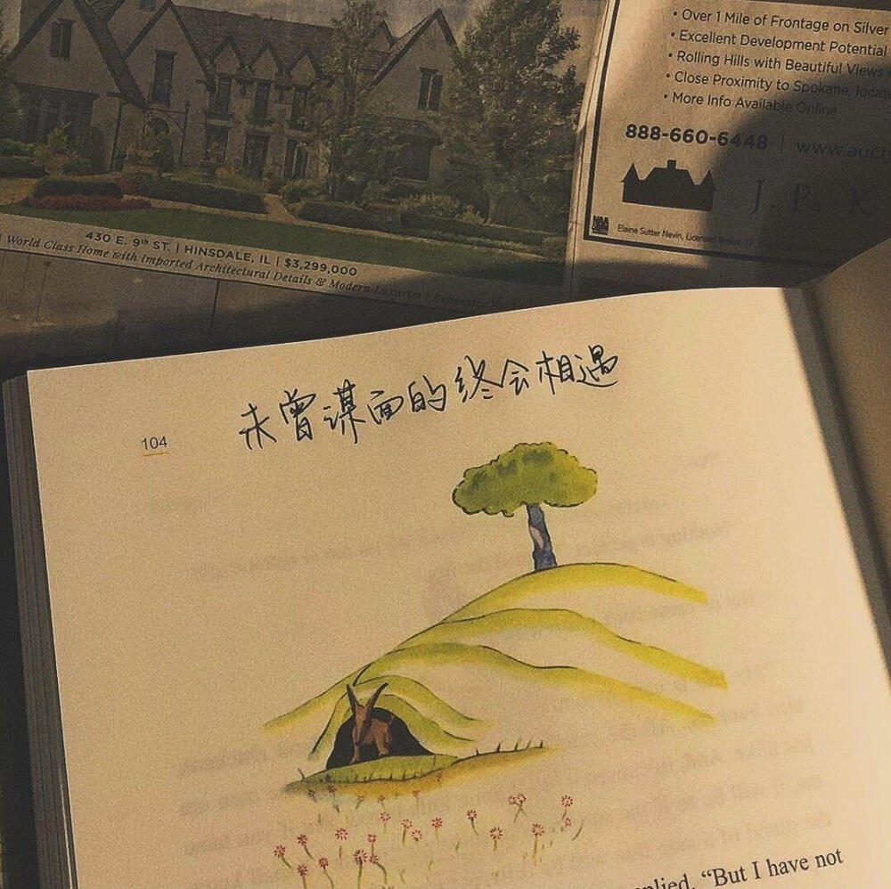 年轻时， 你做了一个决定 要把自己的生命献给爱 后来， 你没死， 年轻替你抵了命