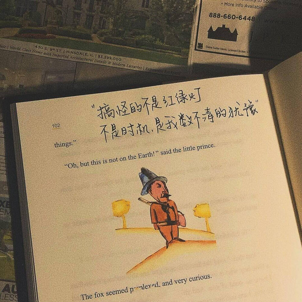 年轻时， 你做了一个决定 要把自己的生命献给爱 后来， 你没死， 年轻替你抵了命