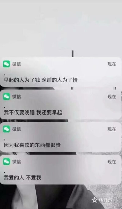 壁纸