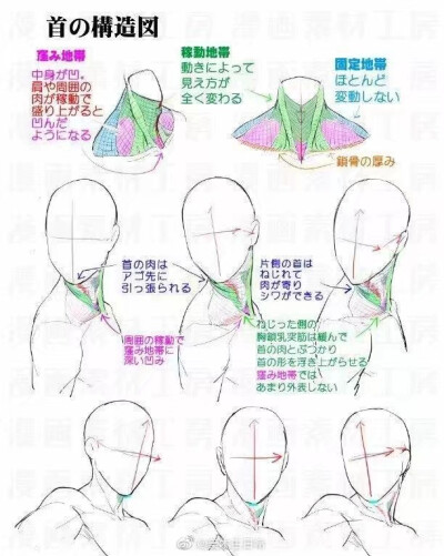 肩膀绘制素材