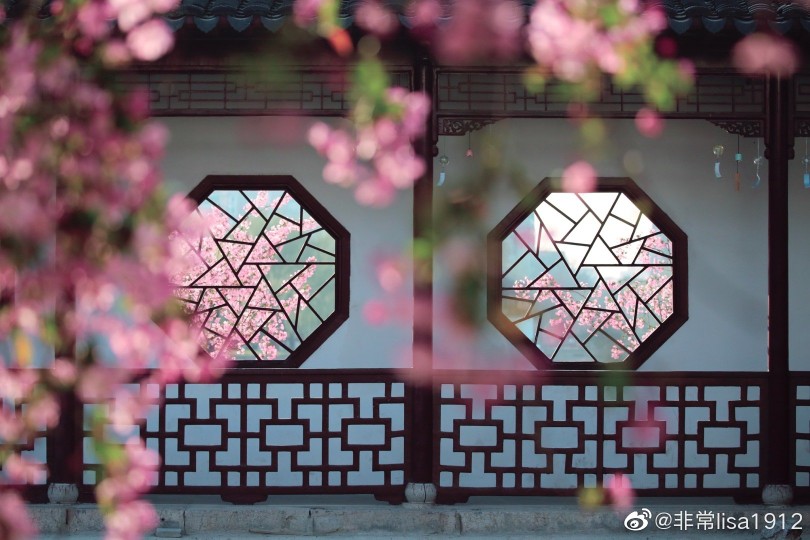 莫愁湖公园，有着南京城里开得最明媚，最繁盛，最理直气壮的海棠花
cr@非常lisa1912
#春天摄影大赛##随手拍##微博摄影大赛##遇见美好时光##随手拍最美春天#