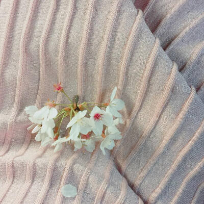 maybe we should let this go