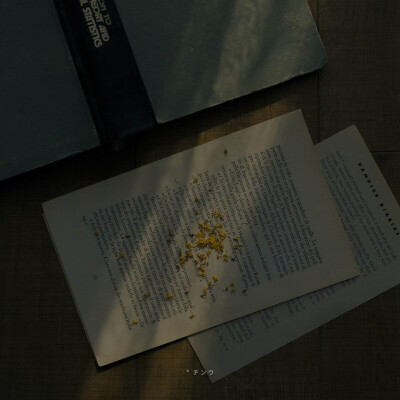 maybe we should let this go