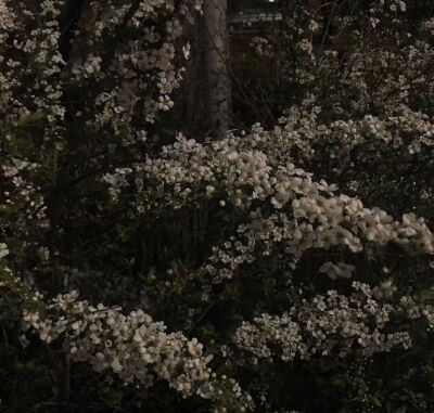 睡觉了，帮我关下月亮