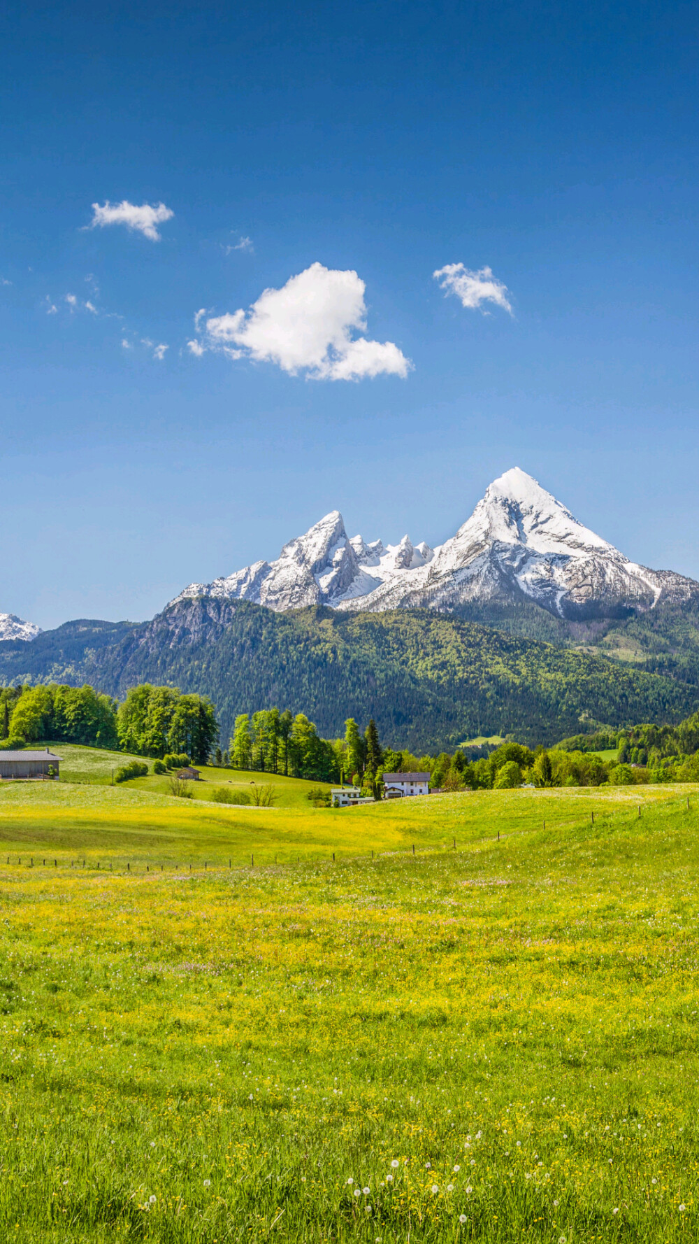 风景