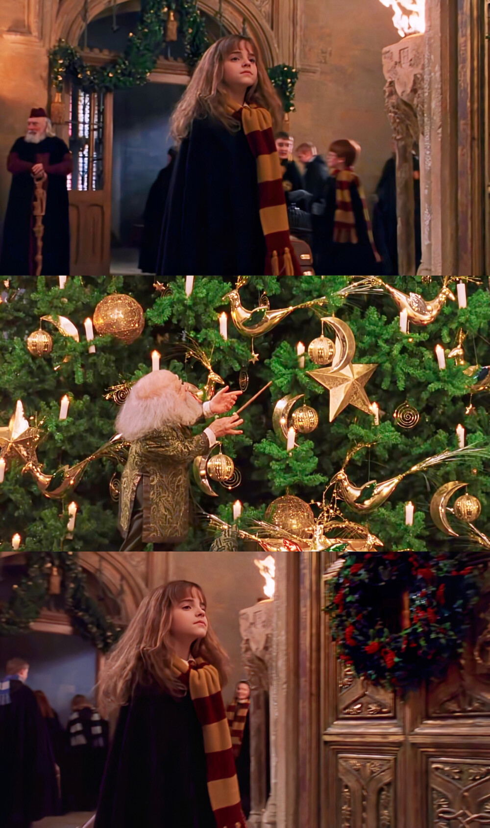 Merry Christmas in Hogwarts
Harry, Ron, and Hermione♥️