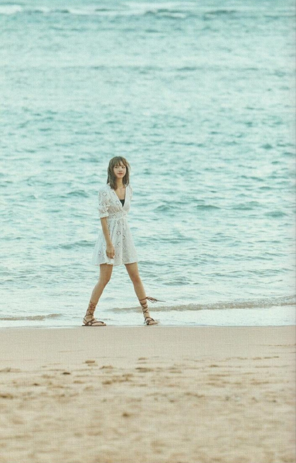 blackpink lisa 夏威夷 高清 转载请注明出处