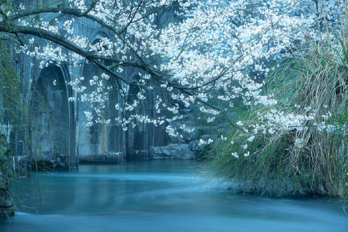 空山无人，水流花开。早安