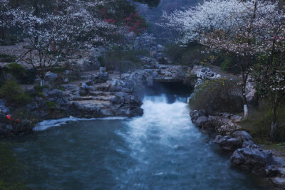 空山无人，水流花开。早安