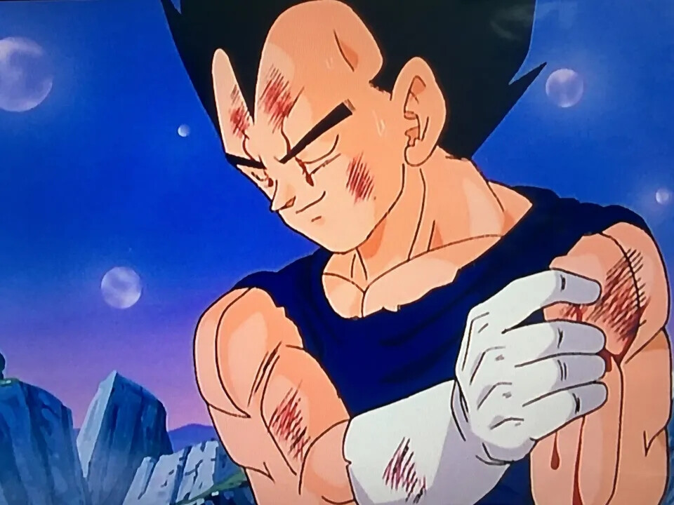 贴吧：卡卡与贝贝的家吧