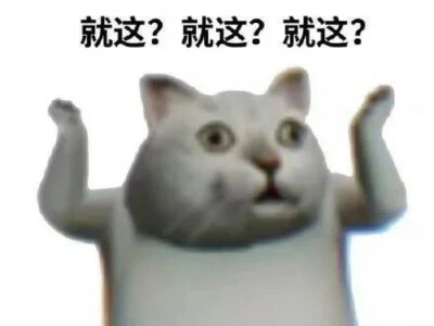 沙雕猫