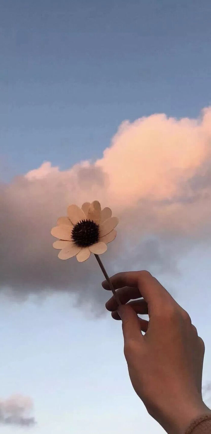 清新壁纸网易云背景 堆糖 美图壁纸兴趣社区