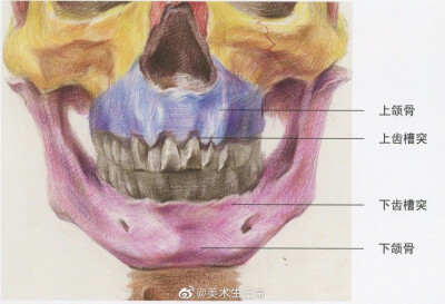 素描教程 头部理解 绘画教程