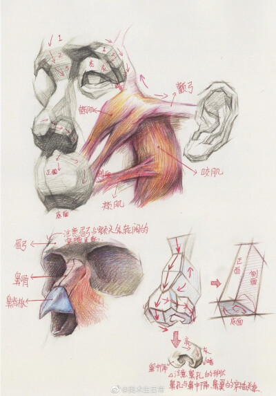 素描教程 头部理解 绘画教程