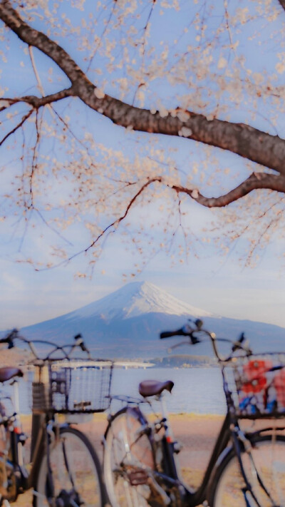 小清新壁纸（背景图 壁纸 高清 无印 简约 锁屏 富士山 樱花）