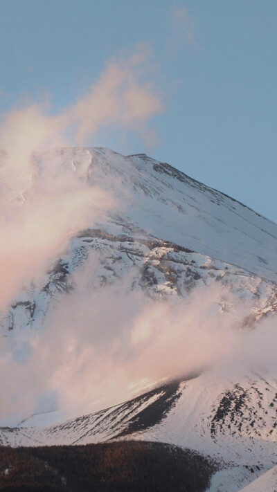 小清新壁纸（背景图 壁纸 高清 无印 简约 锁屏 富士山 樱花）