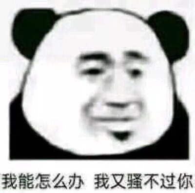 沙雕表情包嗷