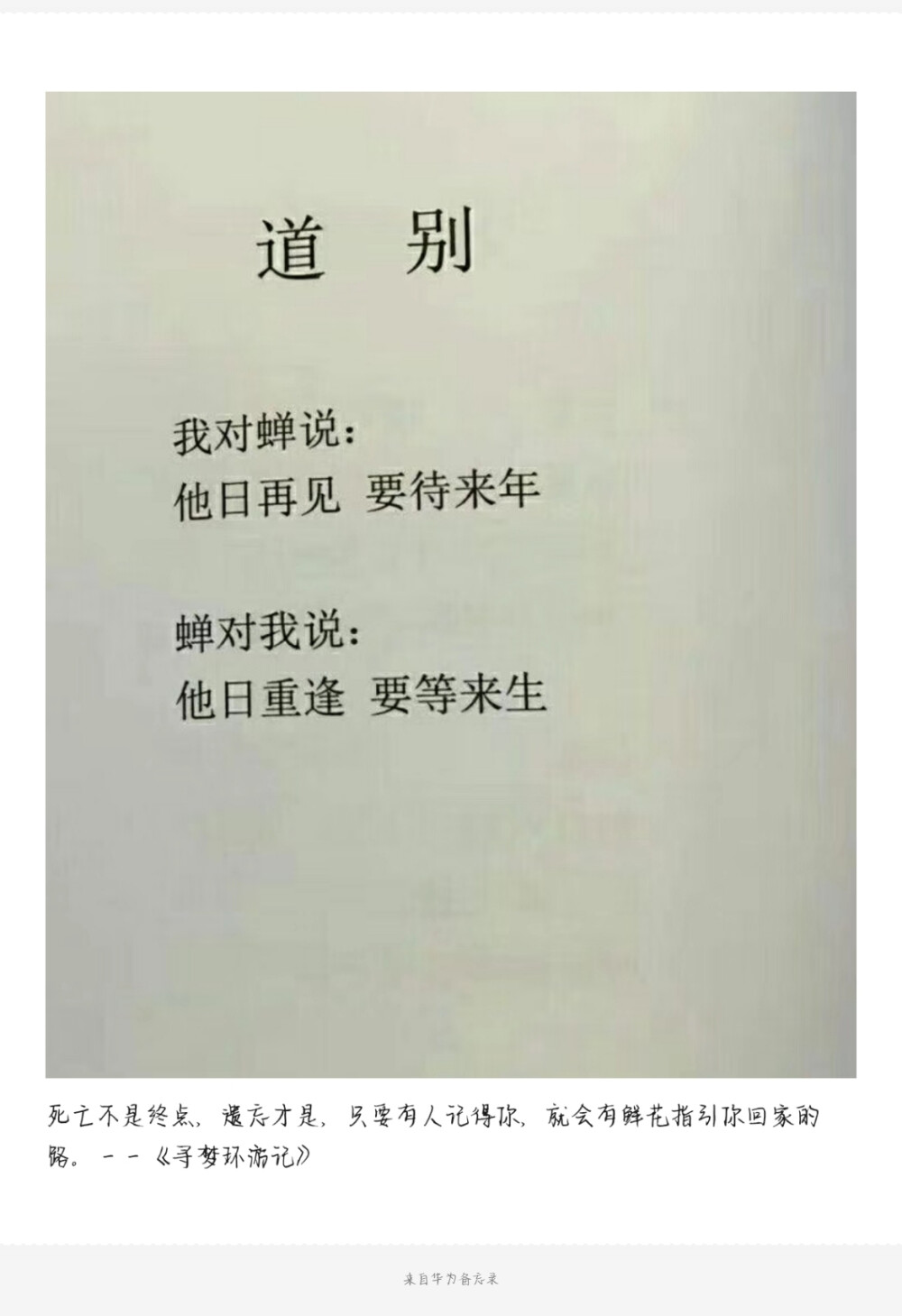 死亡不是终点，遗忘才是，只要我有人记得你，就会有鲜花指引你回家的路。
