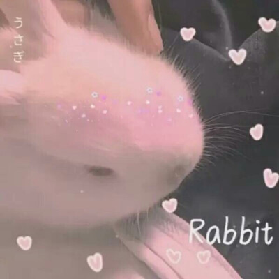 仙气飘飘的背景图