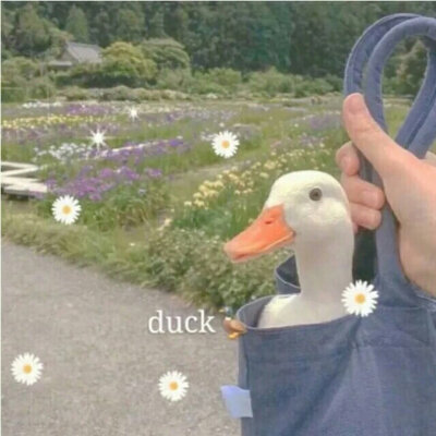 仙气飘飘的背景图