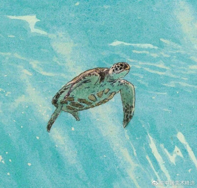 小海龟