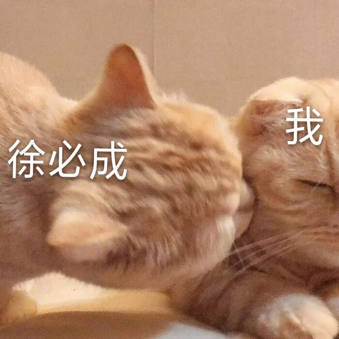 徐必成是人间理想